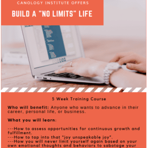 A poster with instructions for building a no limits life.