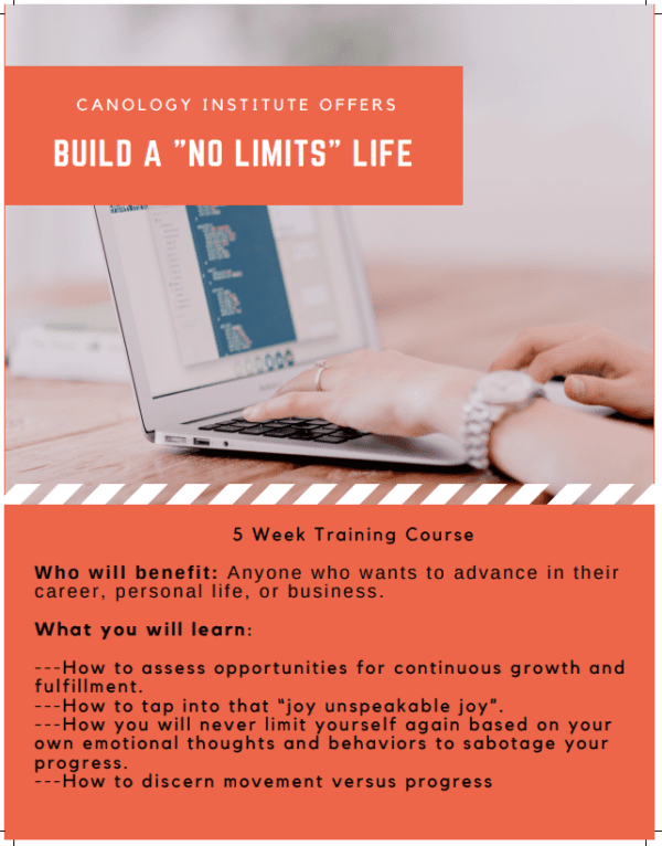 A poster with instructions for building a no limits life.