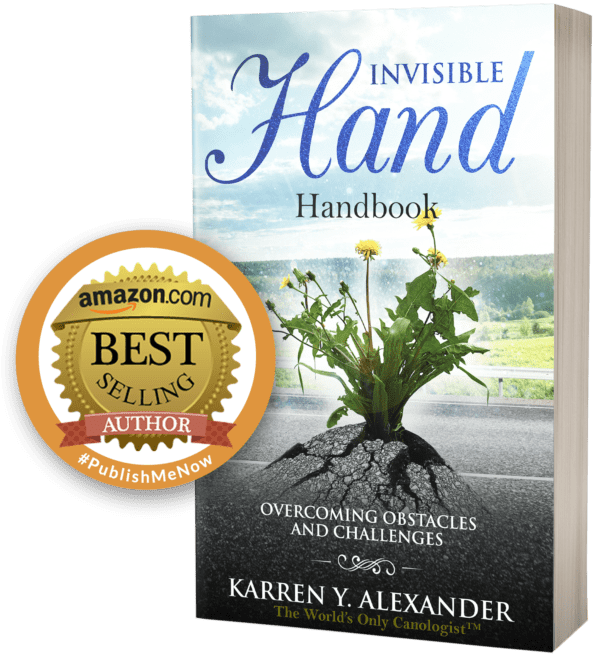 A book cover with the title of invisible hand handbook.